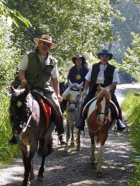 Camino de Santiago on Horseback