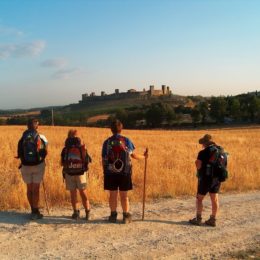 Camino landscape Farewell Monteriggione pilgrim