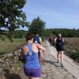 Camino de Santiago