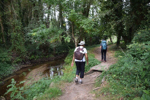 Le Puy terrain
