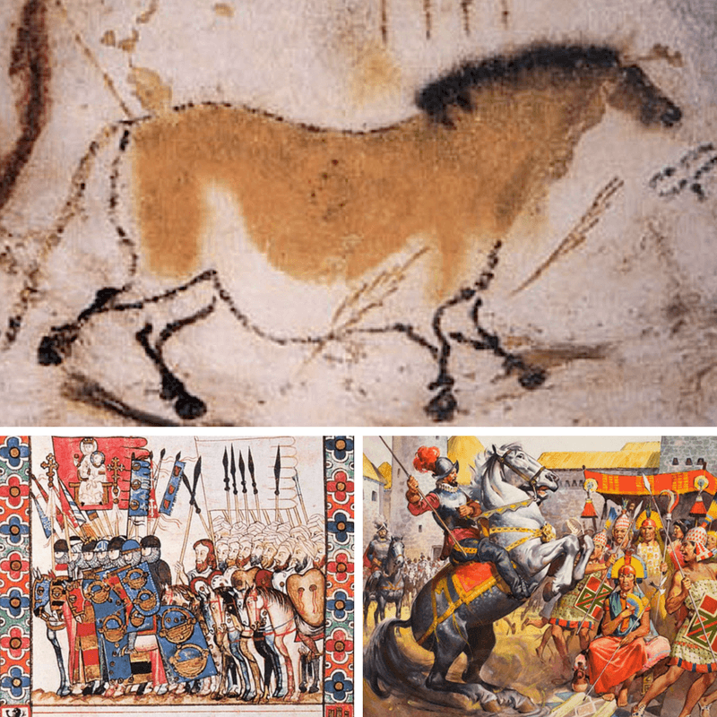 Spanish Horses