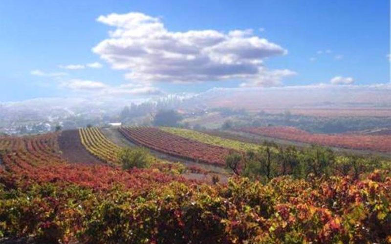 Autumn colour landscape