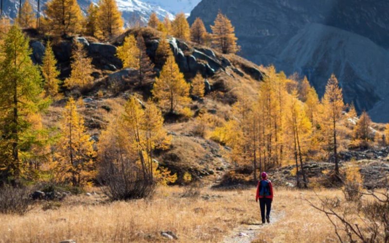 training for the camino de santiago walk in the USA