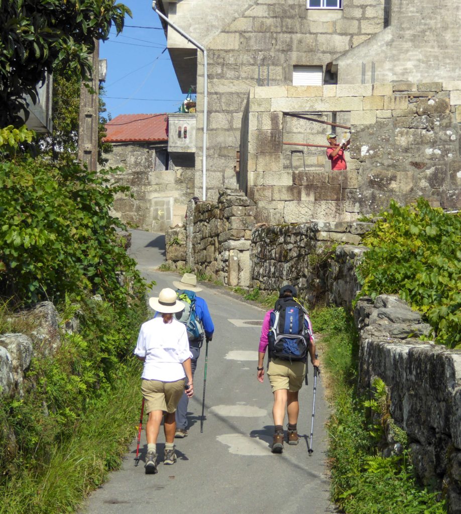 pilgrims walking the camino