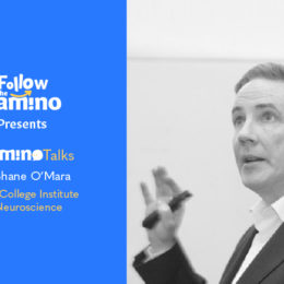 camino talks prof shane O'Mara walking makes us healthier