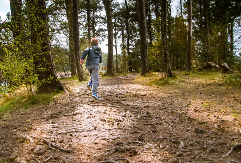 Boy Hiking Through Woods