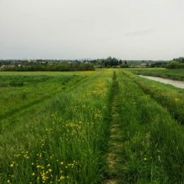 Top Tips for Walking the Via Francigena