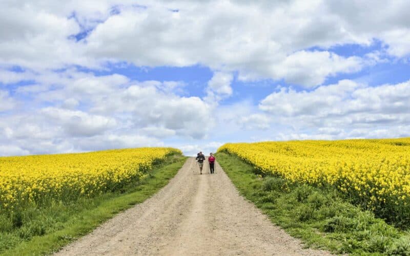 two pilgrims on the camino de santiago