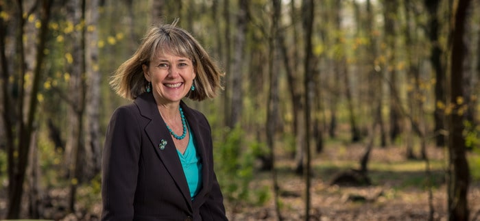 ELIZABETH MUSSER Camino talks