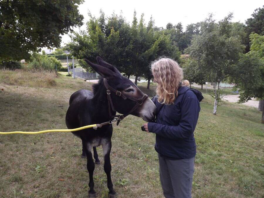 Sharon with her donkey Dupon on the Camino