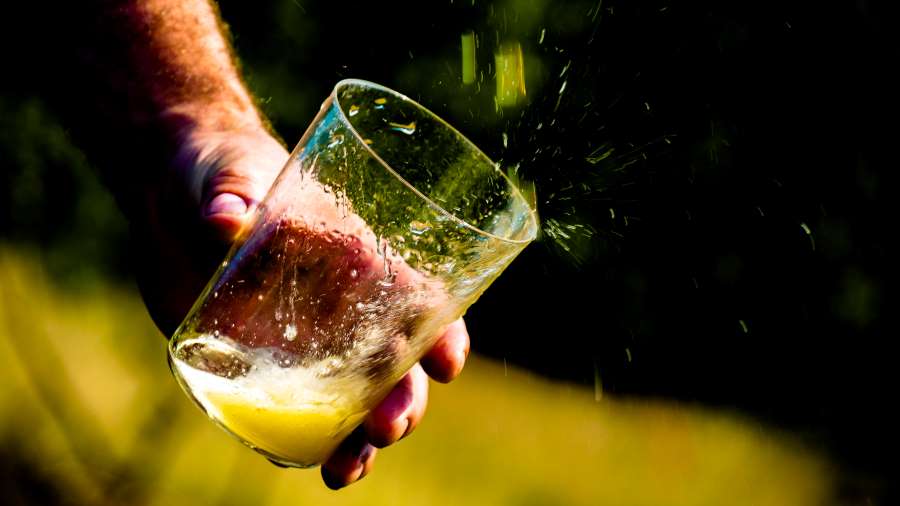 apple cider being poured on the Camino del Norte in Asturias