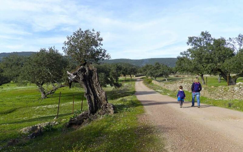 a picture of a mother and daughter walking through the valley on a path which leads to the forest