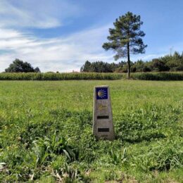 Short Camino Marker