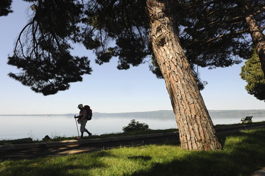 Man walking the Camino Guided