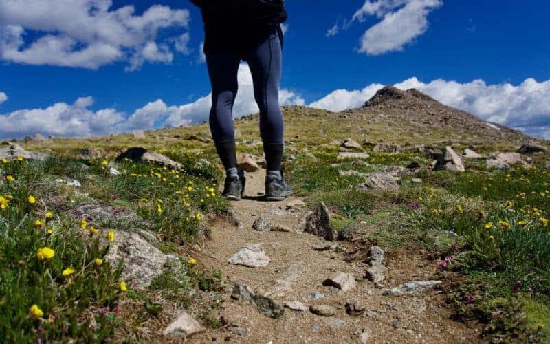 person hiking on the camino