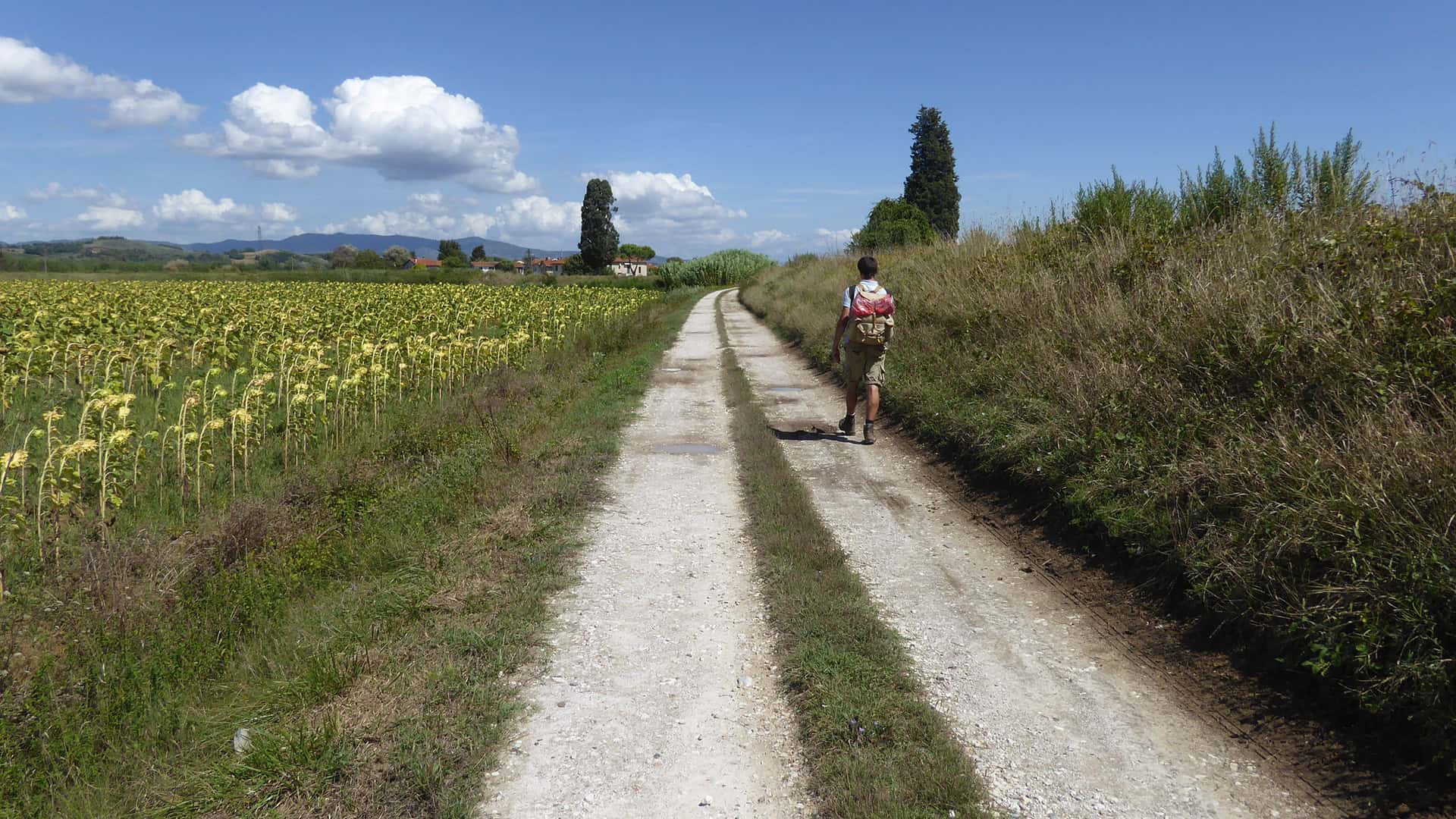 Walking the Via Francigena